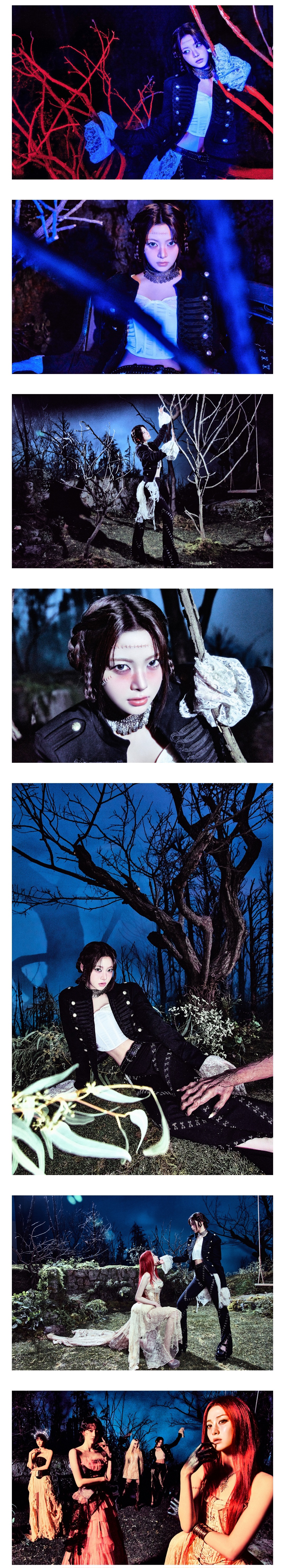 [정보/소식] LE SSERAFIM (르세라핌) 정규 2집 컨셉포토- BIRCH SCAR | 인스티즈