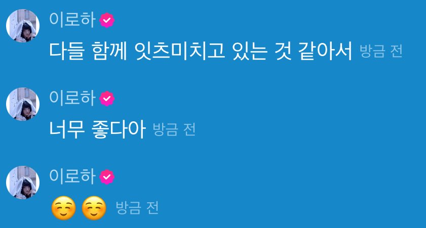 [잡담] 로하가 다들 잇츠미치고 있어서 너무 좋대 🥴 | 인스티즈