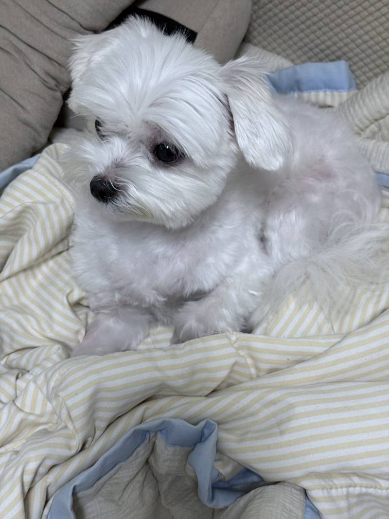 [잡담] 애기 코골고 자는 중 | 인스티즈