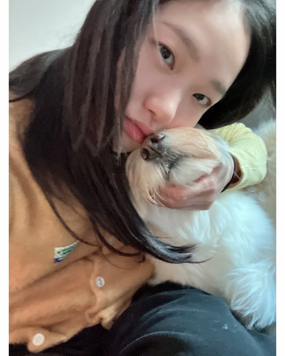 [잡담] 김고은네 강아지 원래 아픈애였나보네... | 인스티즈
