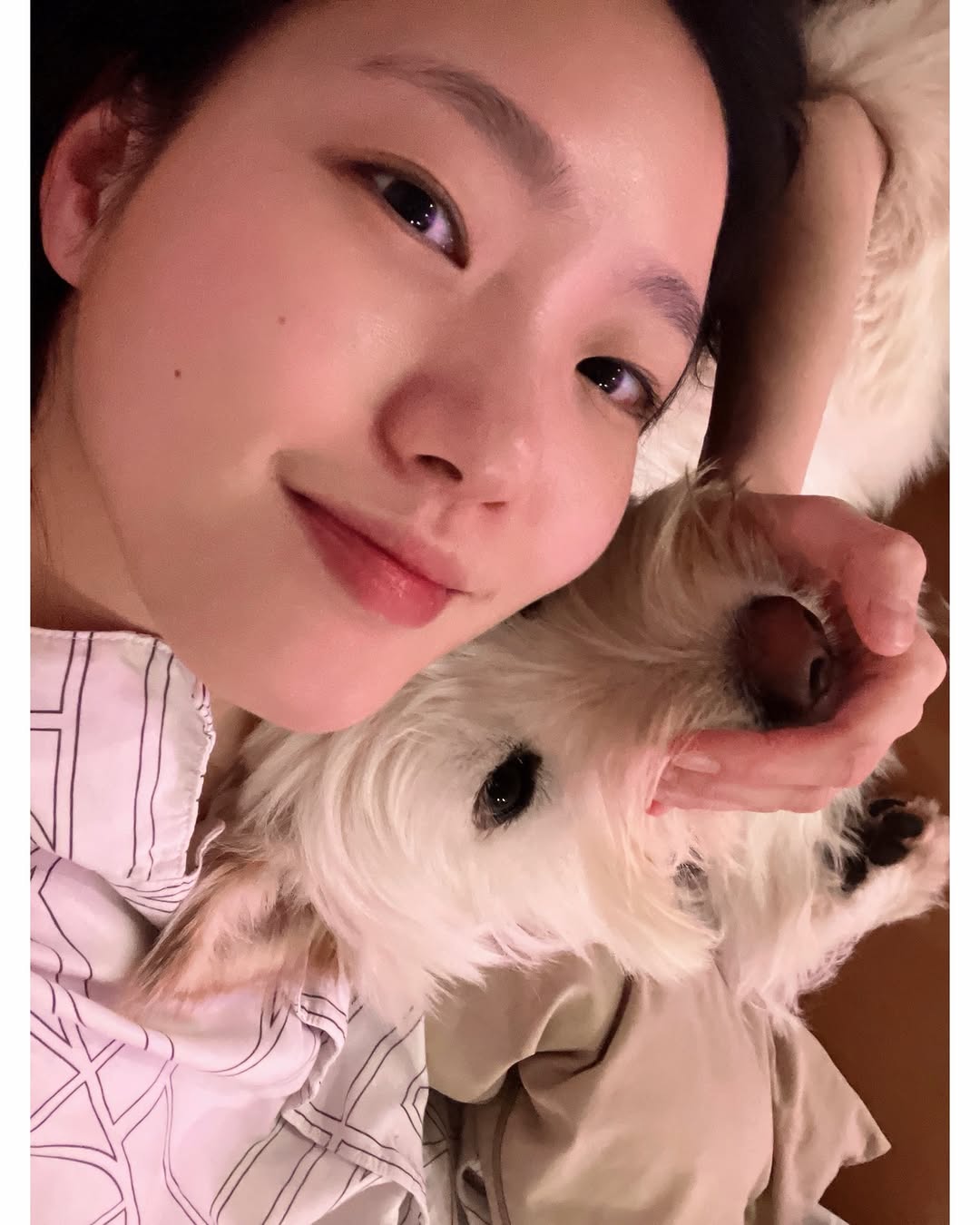 [잡담] 김고은네 강아지 원래 아픈애였나보네... | 인스티즈