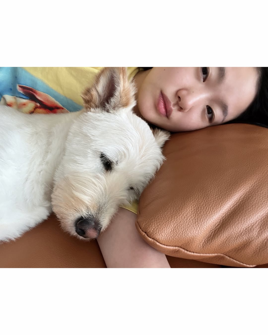 [잡담] 김고은네 강아지 원래 아픈애였나보네... | 인스티즈
