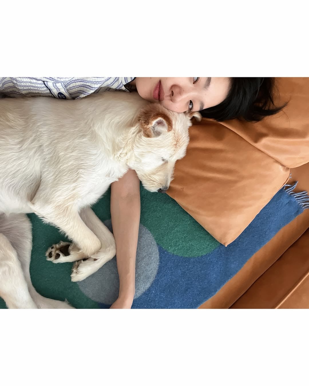 [잡담] 김고은네 강아지 원래 아픈애였나보네... | 인스티즈
