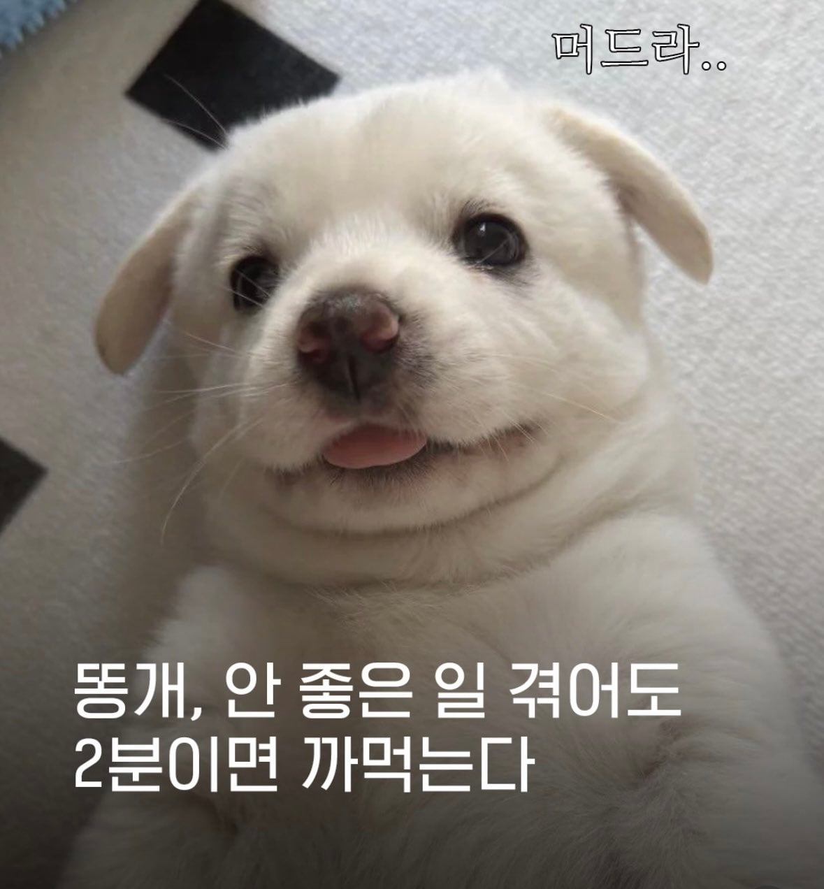 [잡담] 헉 (어그로아님) | 인스티즈