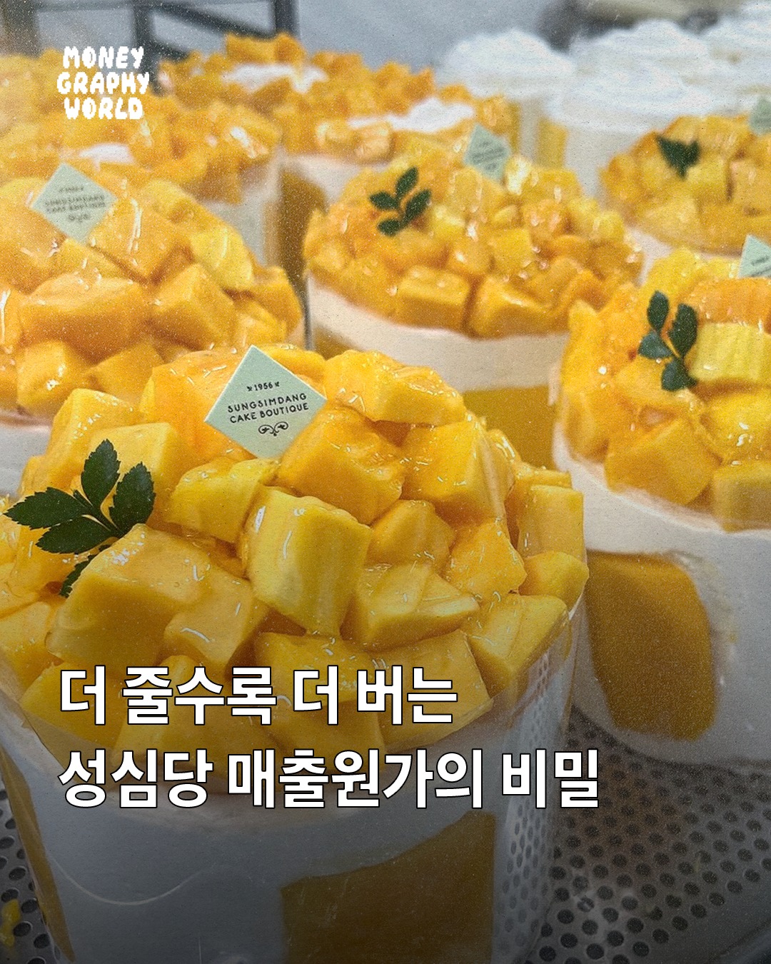 [정보/소식] 더 줄수록 더 버는 성심당 매출원가의 비밀 | 인스티즈