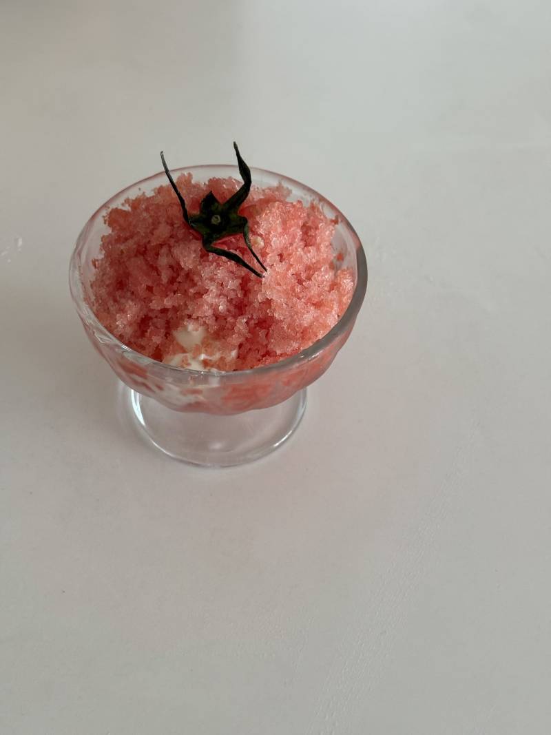 [잡담] 토마토 샤베트 대성공 ~ | 인스티즈