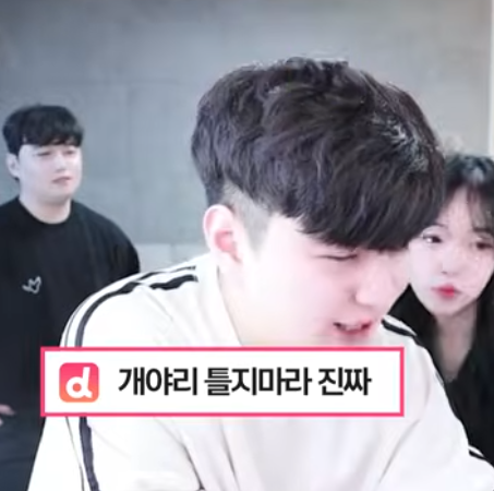 [잡담] 개야리틀다 뜻이 뭐야?? | 인스티즈