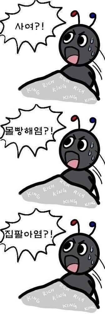 [잡담] 그럼 이제 삼전 들어가도 되는 거임? | 인스티즈