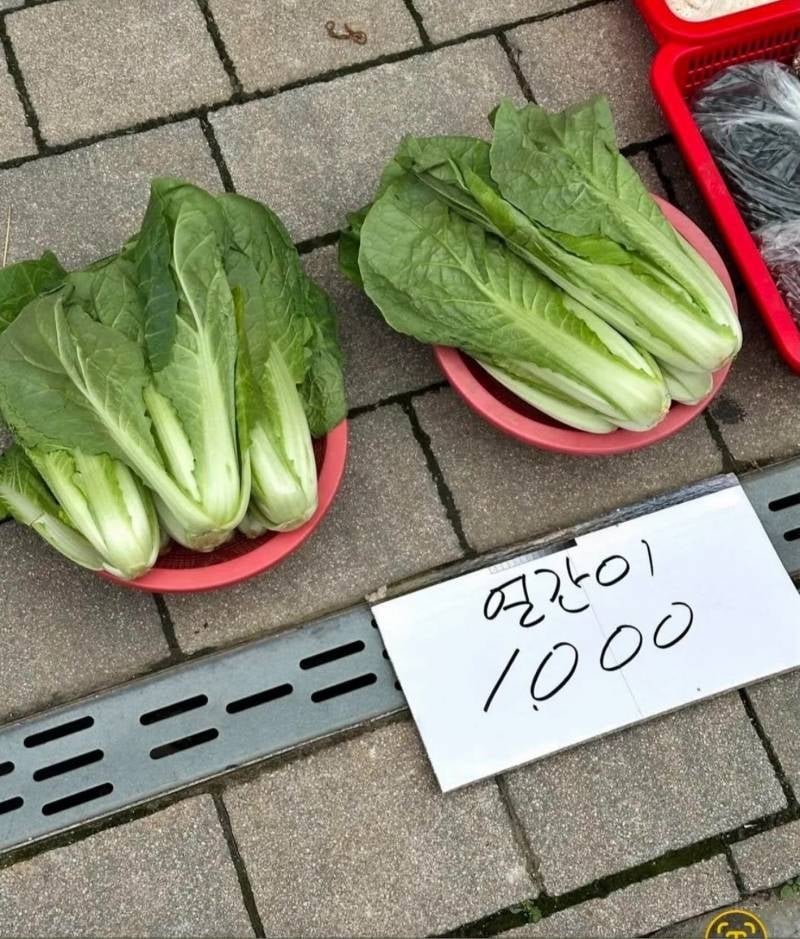 얼간이가 천원 | 인스티즈