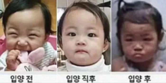 [정보/소식] 아동학대 살인 '정인이' 양부 오늘 만기 출소 | 인스티즈