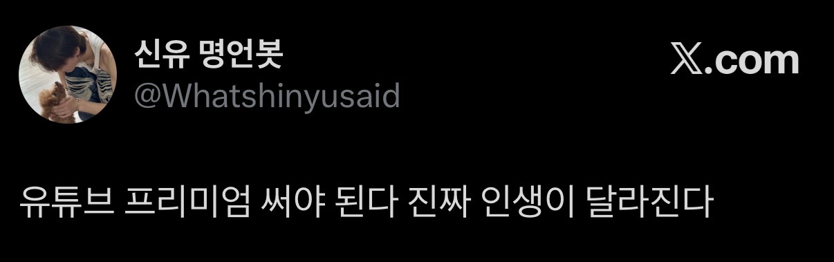 [잡담] 투어스 신유 명언 하나같이 심금을 울린다 | 인스티즈
