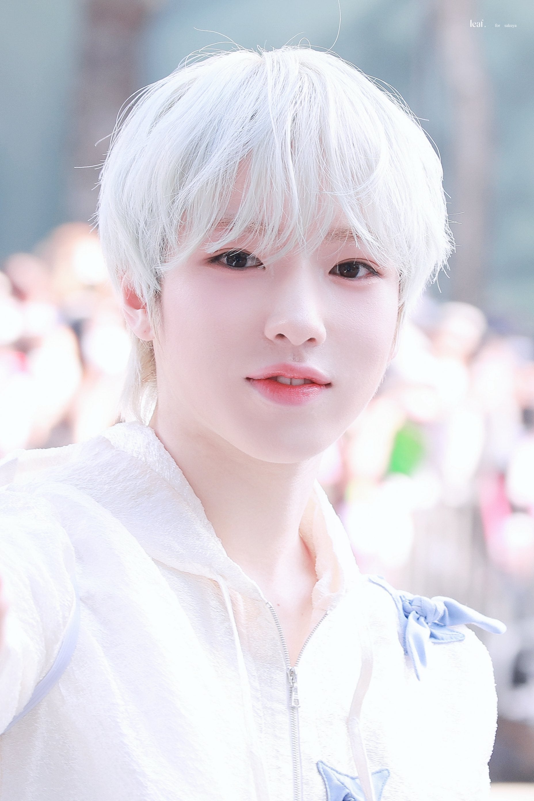 [잡담] 사쿠야 두부상같아 아랍상같아? | 인스티즈