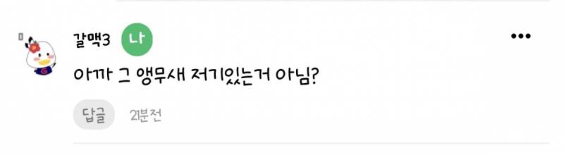 [잡담] 약간? 뿌듯? | 인스티즈