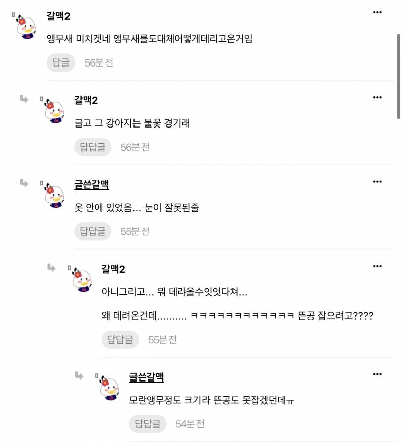 [잡담] 제발 우리 독방(갈맥) 개웃긴 글 봐줘 | 인스티즈