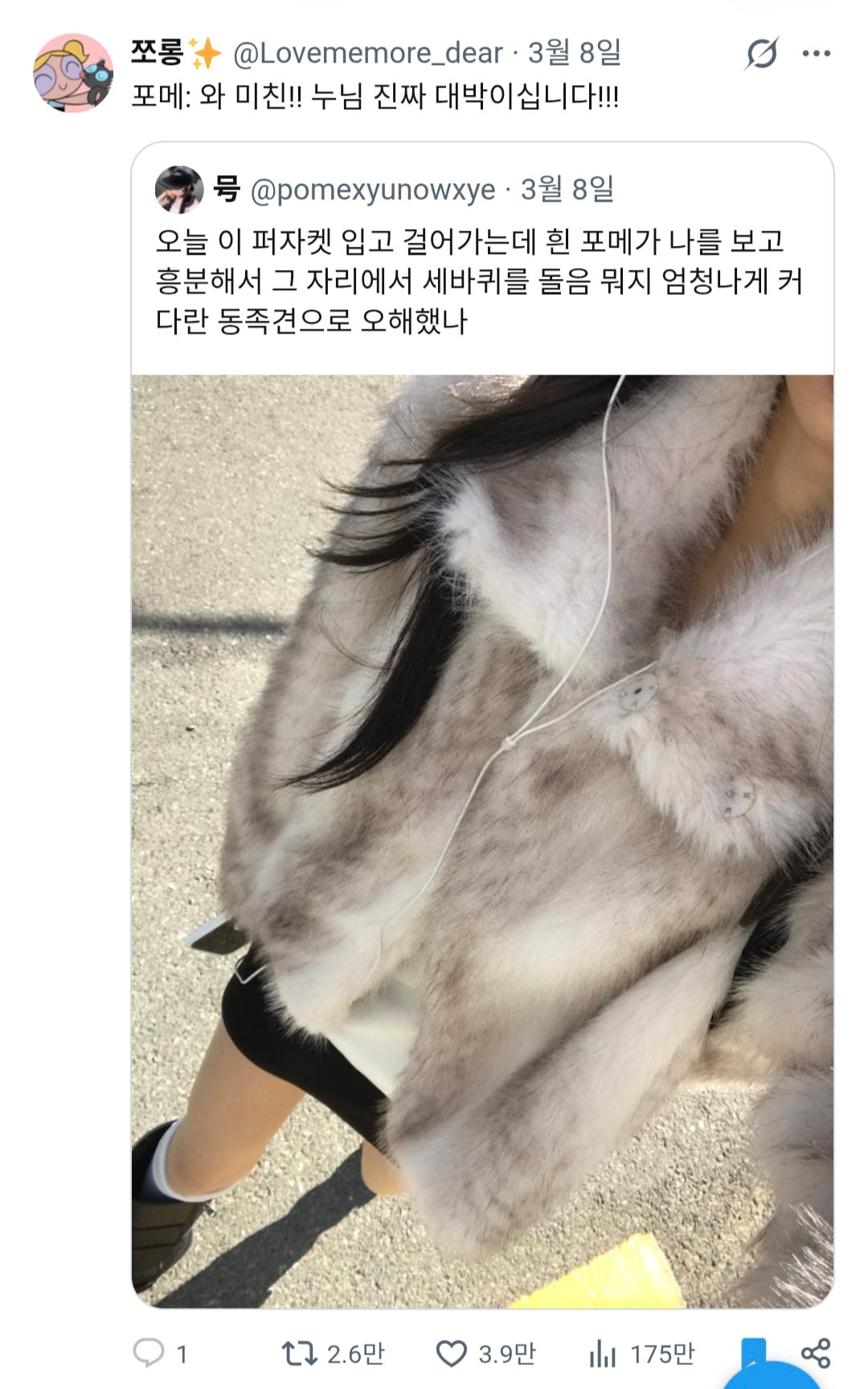 [잡담] 내가 모은 트위터 웃긴 짤 보고 가 | 인스티즈