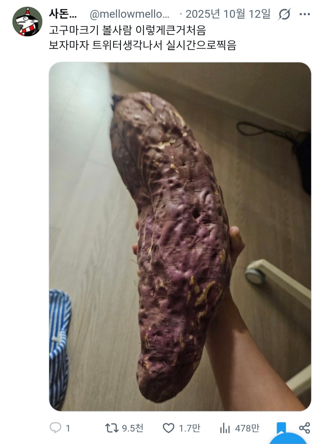 [잡담] 내가 모은 트위터 웃긴 짤 보고 가 | 인스티즈