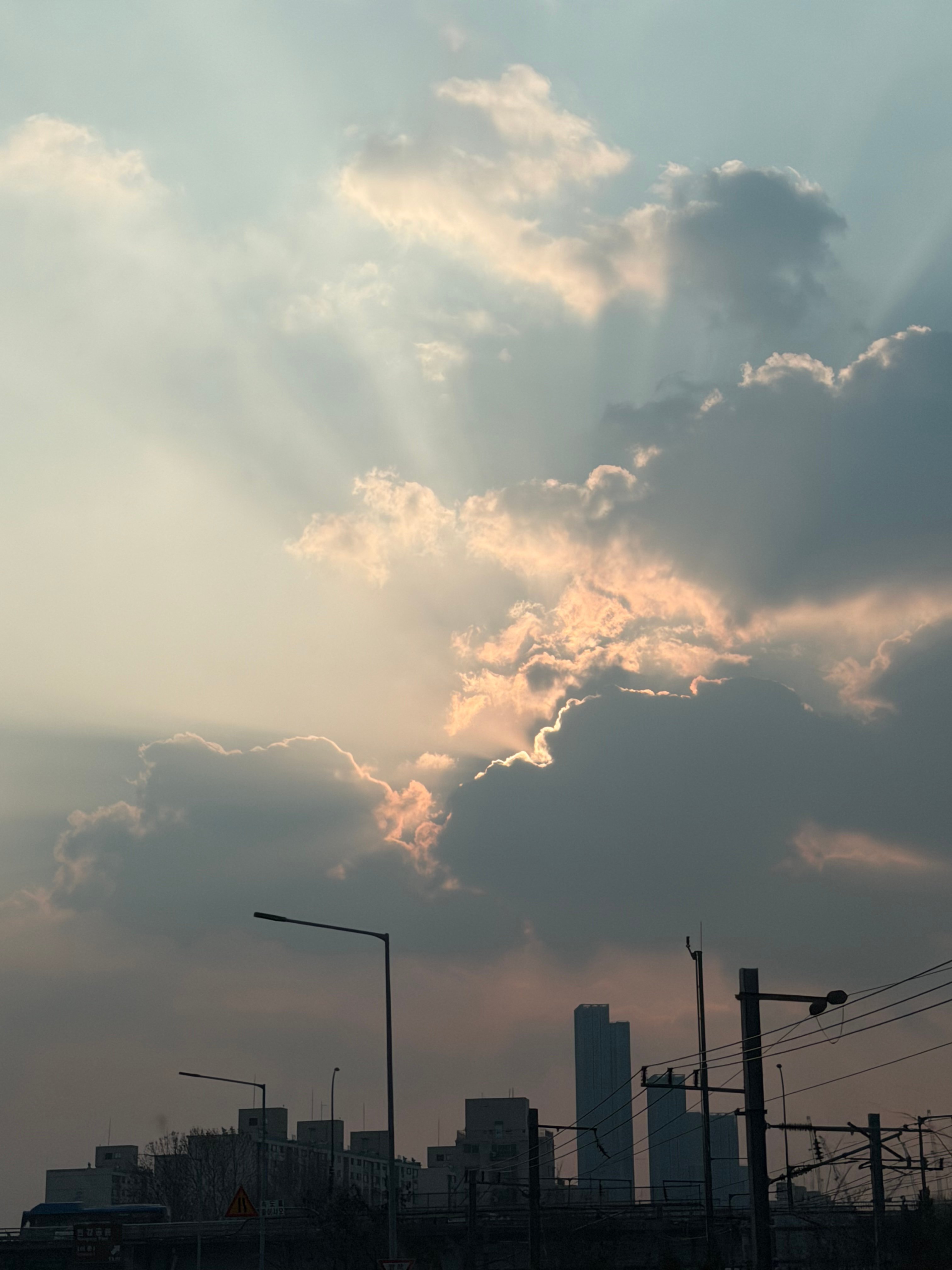 [잡담] 성한빈이 찍은 사진볼래? | 인스티즈