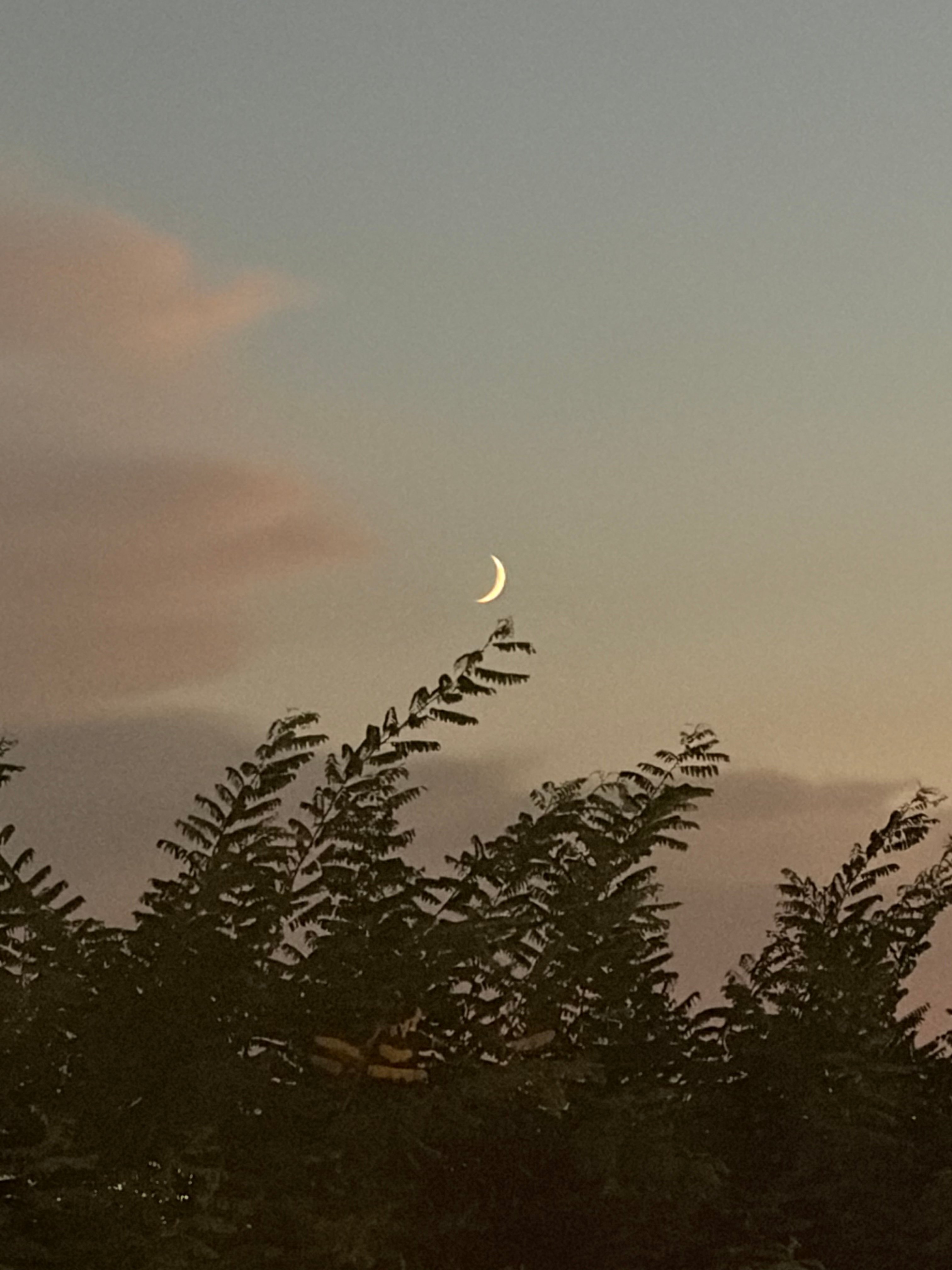 [잡담] 성한빈이 찍은 사진볼래? | 인스티즈