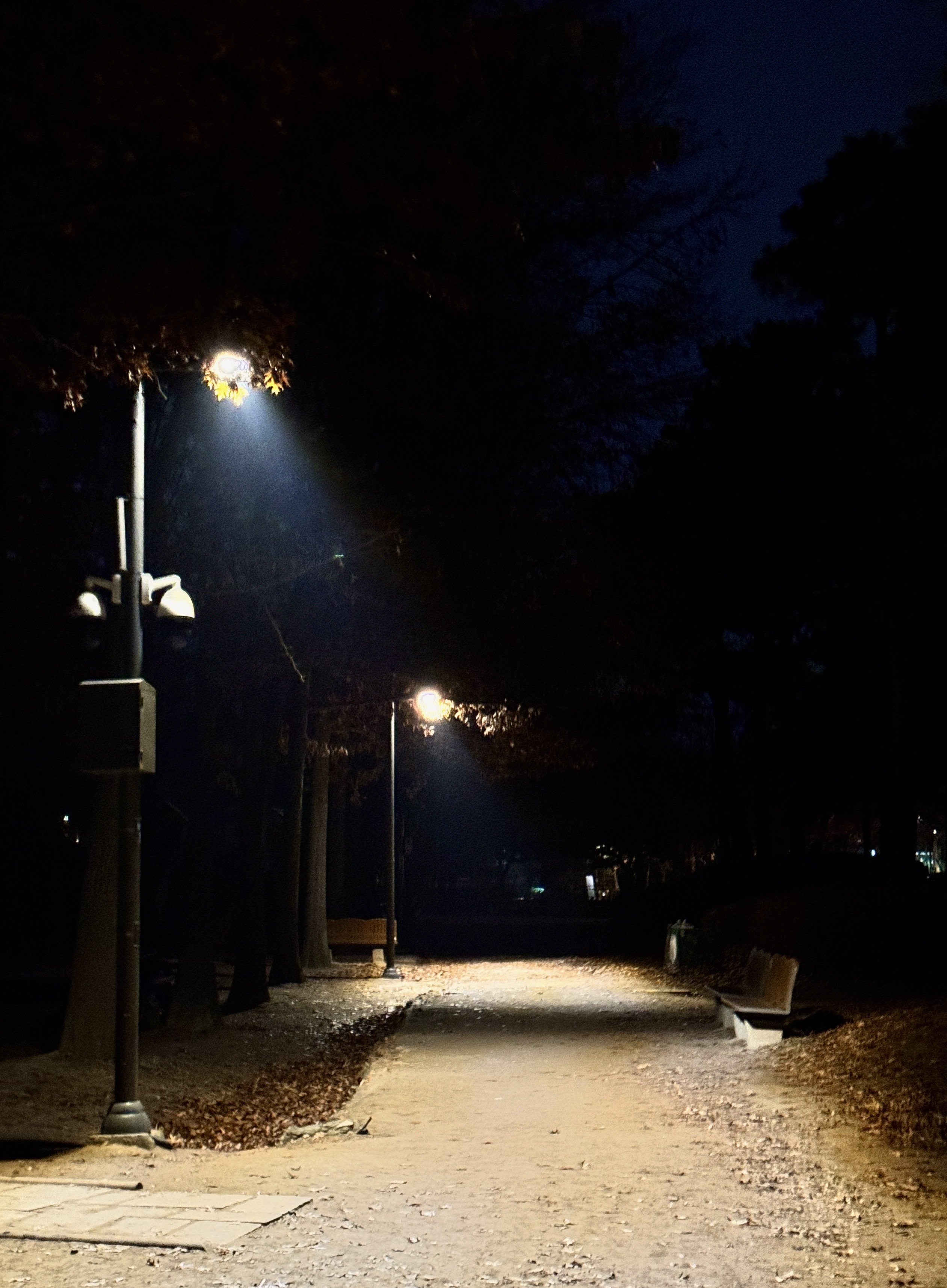 [잡담] 성한빈이 찍은 사진볼래? | 인스티즈