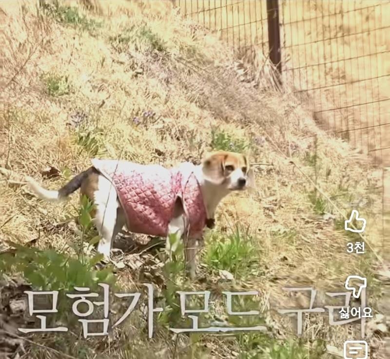 반려견을 사람처럼 대하는 이창섭.jpg | 인스티즈