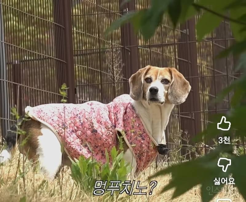 반려견을 사람처럼 대하는 이창섭.jpg | 인스티즈