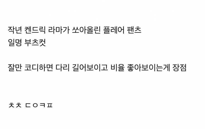 요즘 재유행은 왔는데 쉽지않다는 바지핏..JPG | 인스티즈