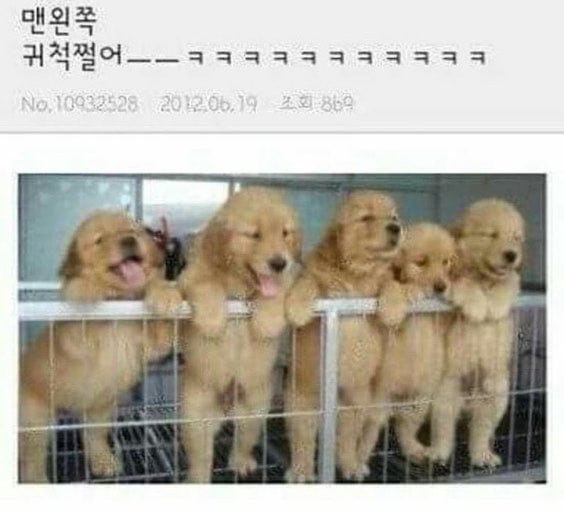 [잡담] 맨 오른쪽 귀척 개쩔어 | 인스티즈