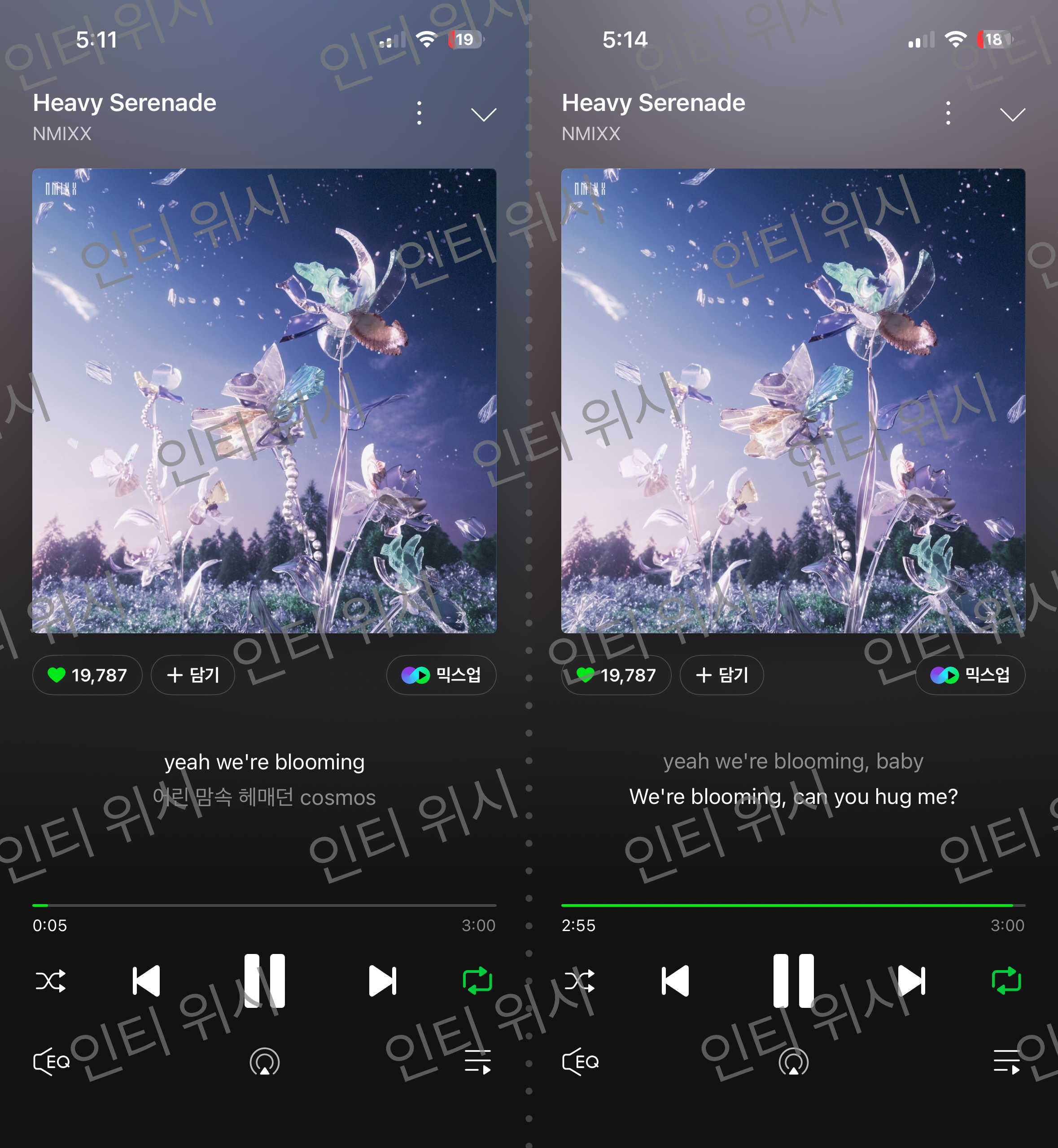 [잡담] 엔믹스 보은 스밍💚 | 인스티즈