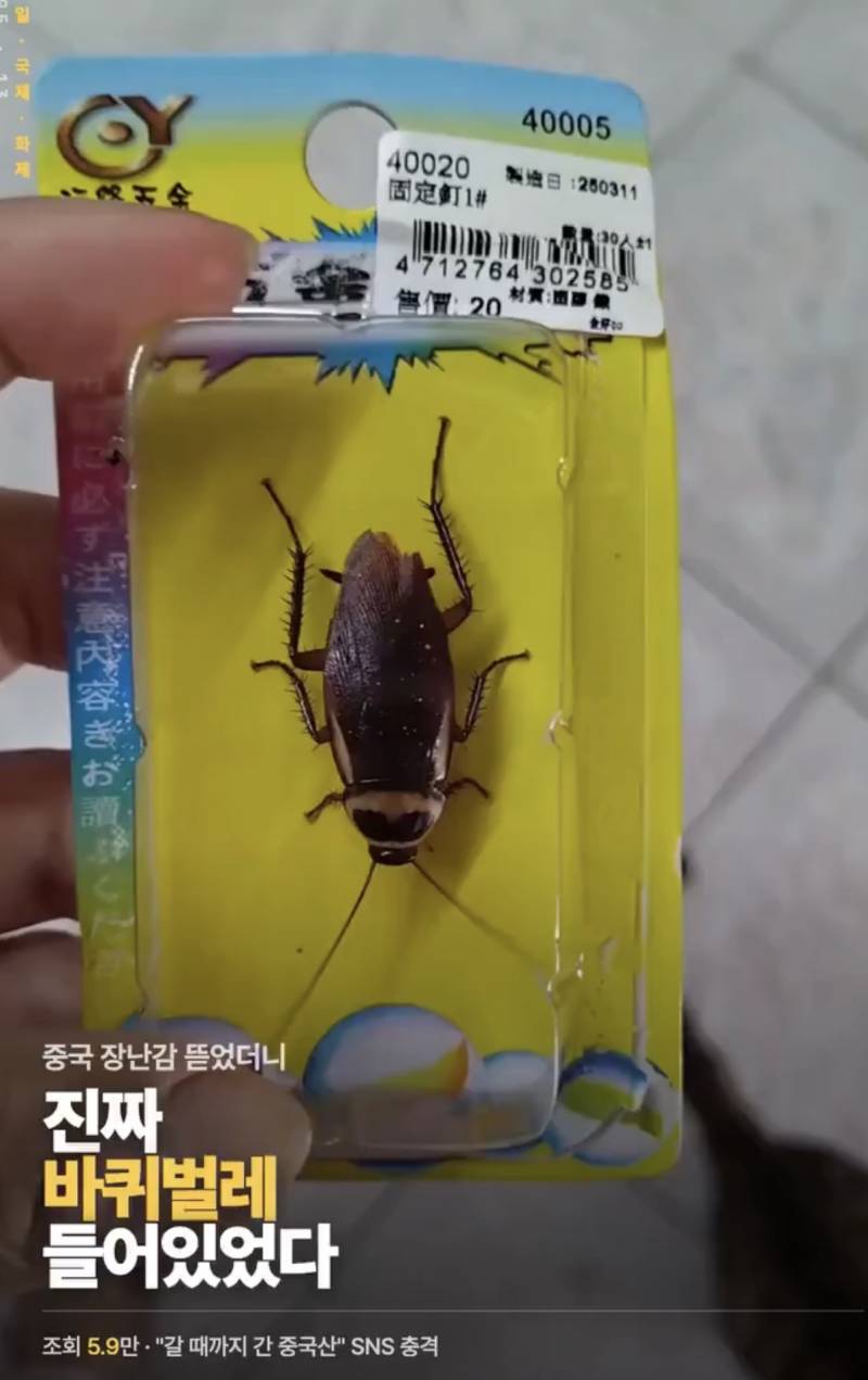 [잡담] 쓸데없는 선물 이거 주면 어떻게 할꺼야 ㅎㅇㅈㅇ | 인스티즈