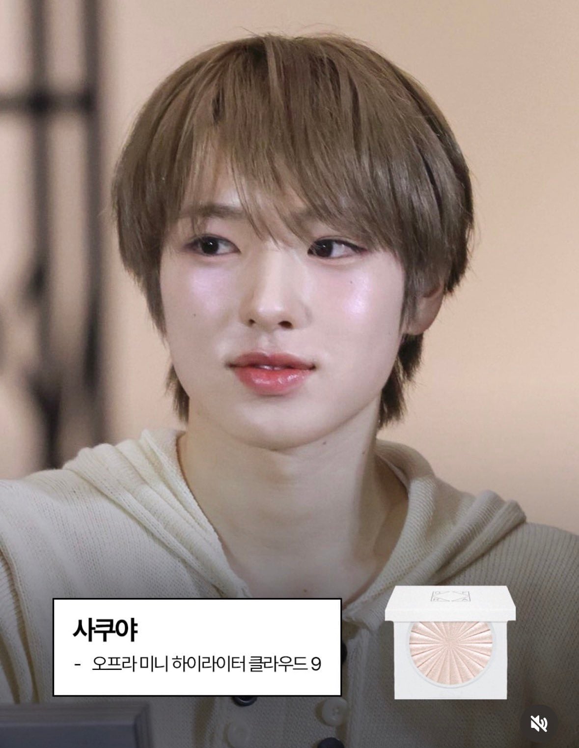 [잡담] 진주알 하이라이터 취향이신분들 꿀정보 공유합니당 | 인스티즈