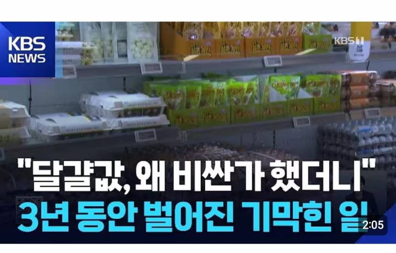 [잡담] 와 미쳤다 그동안 계란값 계속 올랐던 이유 밝혀졌어 | 인스티즈