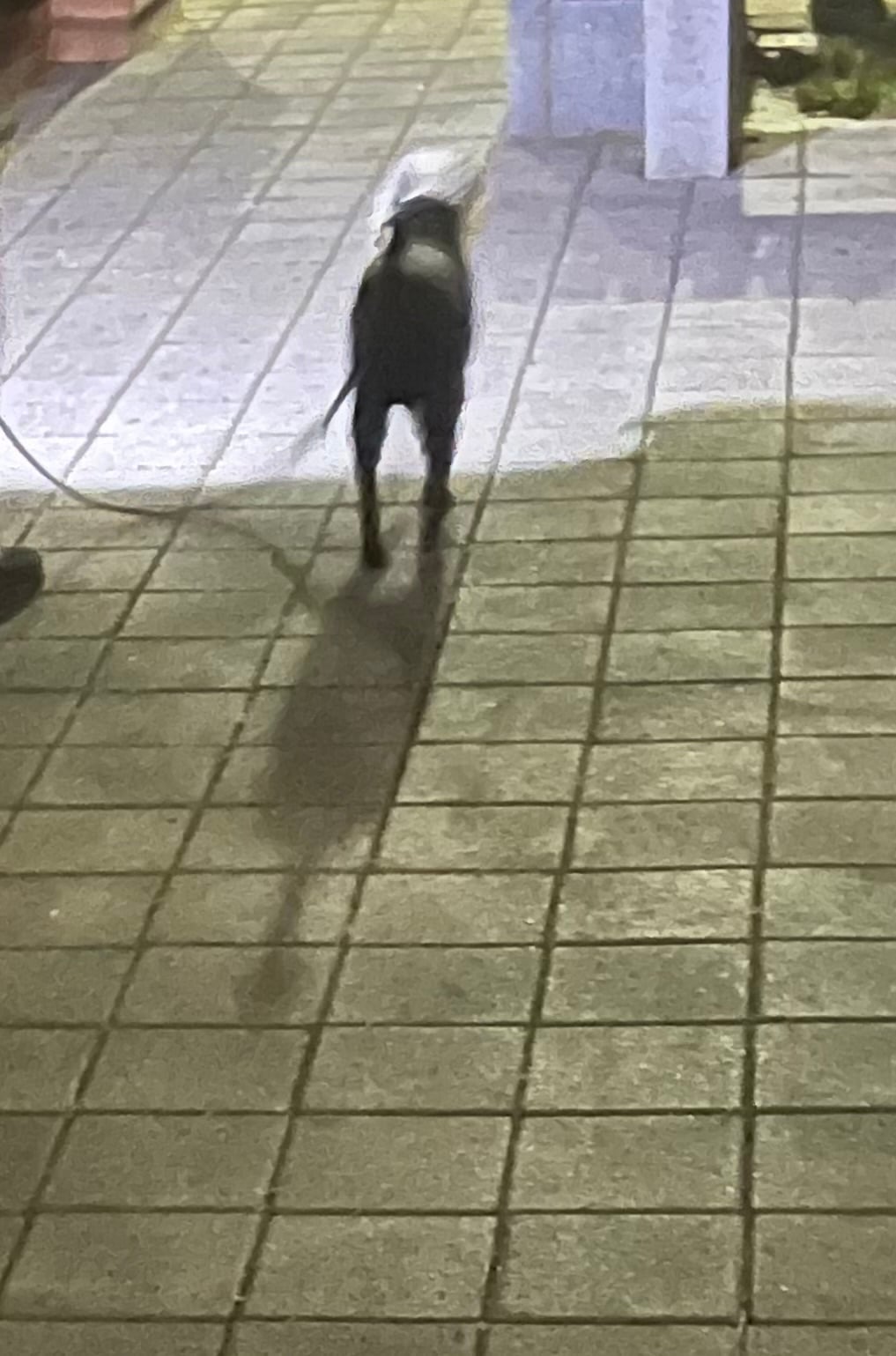 [잡담] 아 엄마따라 페트병 수거하러 가다가 개웃긴 거 봄 | 인스티즈