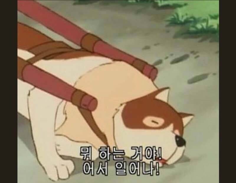 [잡담] 파트라슈 나 같잖아 | 인스티즈