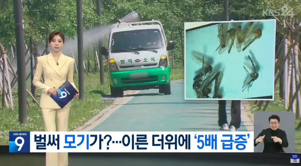[잡담] 모기 모기 모기 모기 모기~ | 인스티즈