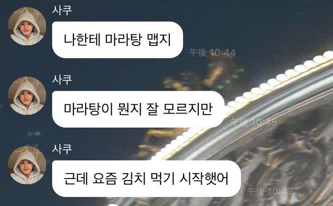 [잡담] 사쿠야가 김치를 먹기 시작했대...... | 인스티즈