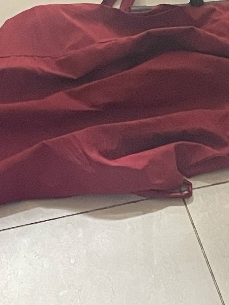 [잡담] 허ㅏ장실 가다가 바퀴벌레 발견했어ㅜㅠㅜㅜㅜㅠㅜ | 인스티즈