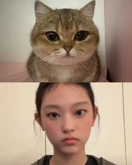 [잡담] 해린 내 마지막 기억은 이런 모습이었는데 | 인스티즈