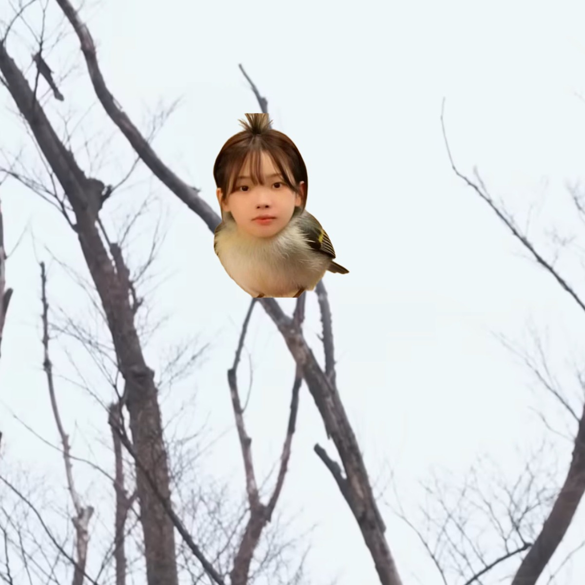 [잡담] ㅋㅋㅋㅋㅋㅋㅋㅋㅋㅋㅋㅋㅋㅋㅋㅋㅋ | 인스티즈