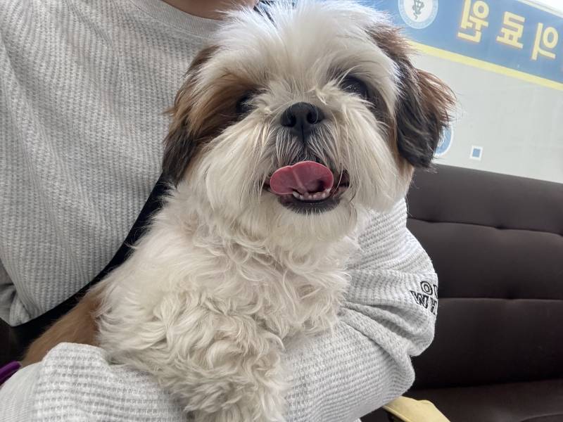 [잡담] 돈가스 사준다더니… | 인스티즈