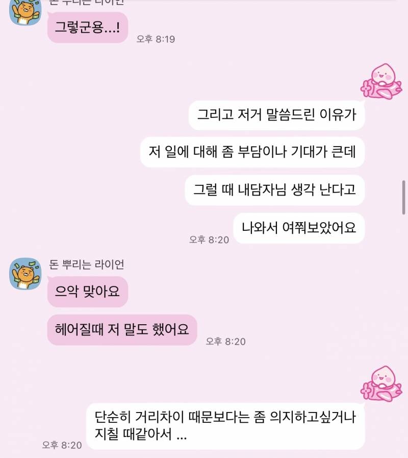 희망고문/ 인간공수 🔮 재상담 많은 명쾌한 타로 🔮 | 인스티즈