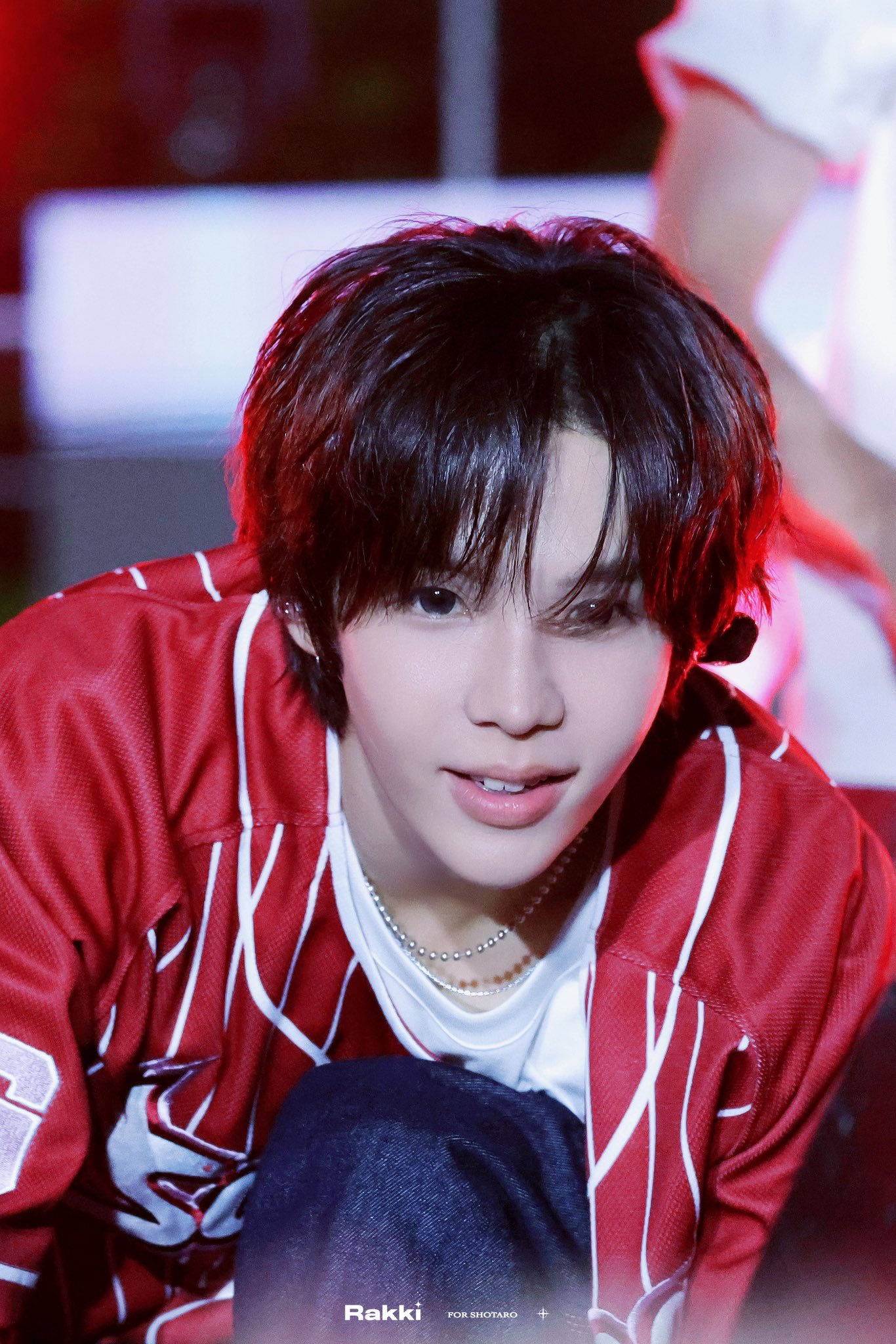 [잡담] 쇼타로는 강아지야 햄스터야? | 인스티즈