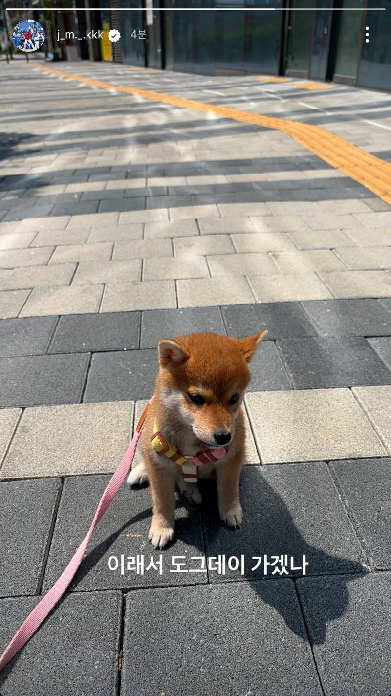 [잡담] 우리팀 선수가 키우는 강아지 너무 귀여운데 보고가실? | 인스티즈