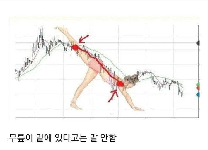 [잡담] 주식하면서 밈만 배우는 듯 | 인스티즈