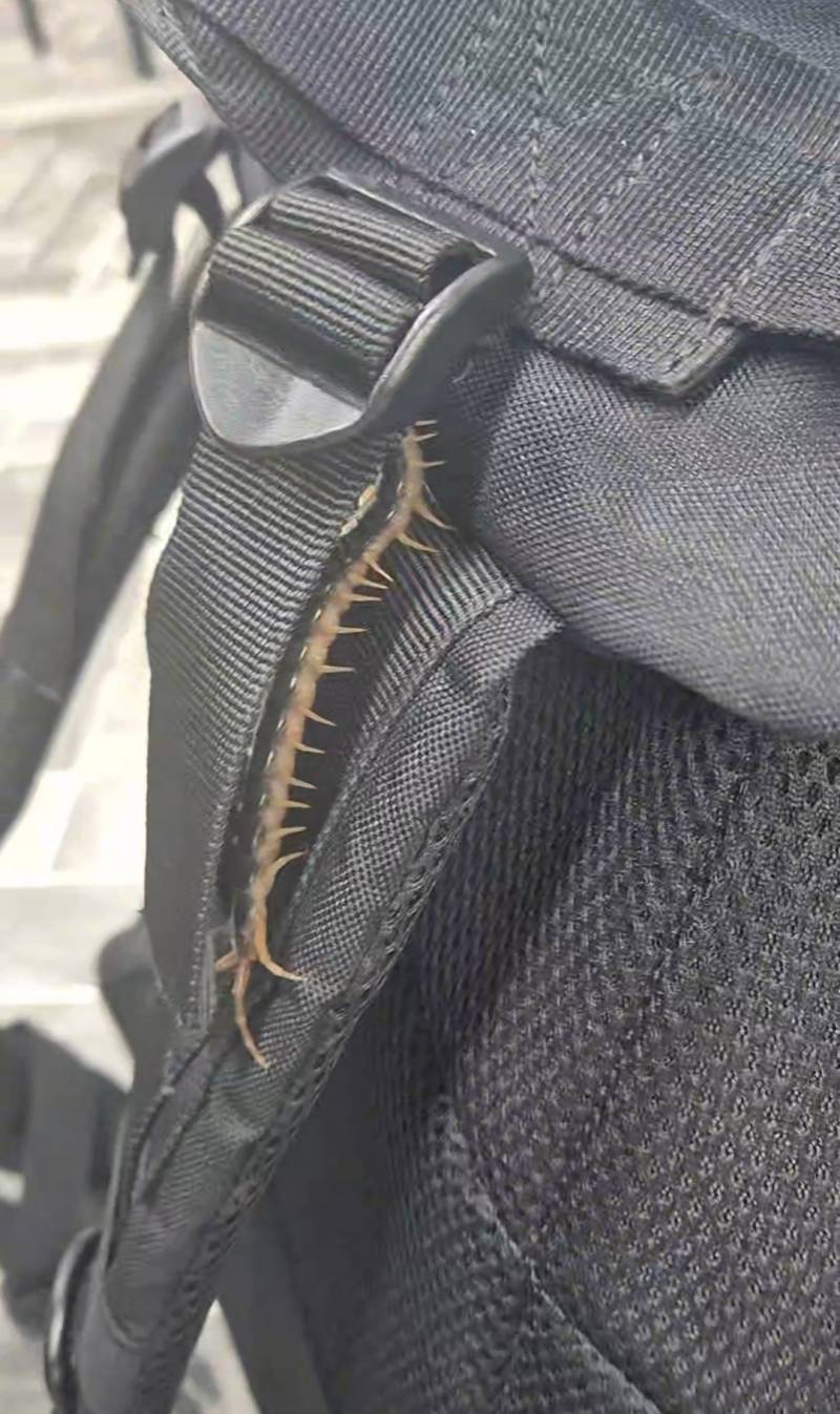 [잡담] 수업 어케 가지 ㅎㅇㅈㅇ | 인스티즈