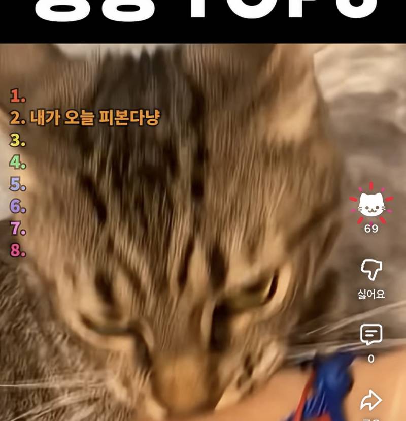 [잡담] 유튭 숏츠 좋아요 누르면 고양이로 변하는 앎?? | 인스티즈