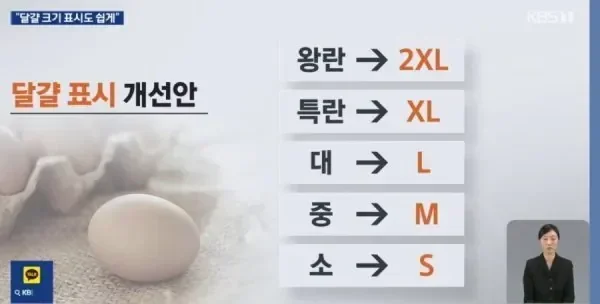 [잡담] 계란 크기 표기법 변경 | 인스티즈