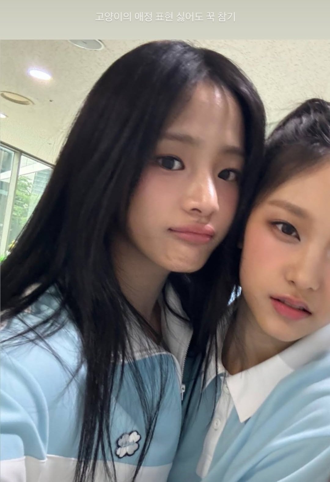 [잡담] 내 멍냥 왜이리 예뿌냐 | 인스티즈