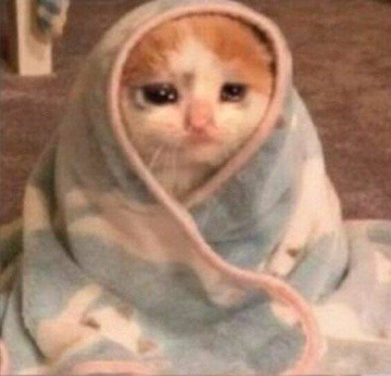 [잡담] 최종합격한 회사에 못간다하고 욕 무진장 들어먹었어 내 잘못이 그렇게 커? "여기저기 다 쑤셔넣고 간본거에요 이랬다 저랬다 뭐하는거에요 ?" 등등 | 인스티즈