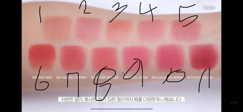 [잡담] 가을뮤트가 쓸만한색 골라주라 | 인스티즈