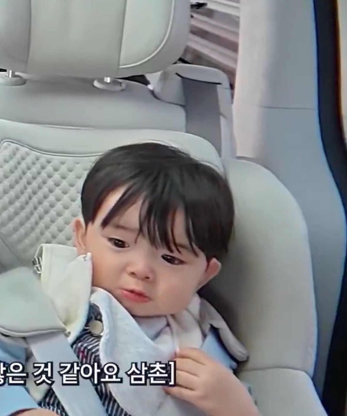[잡담] 오늘 유준이 보고 한 생각 얼마나 옷갈아입고 안는사람 바뀌는게 싫었음 | 인스티즈